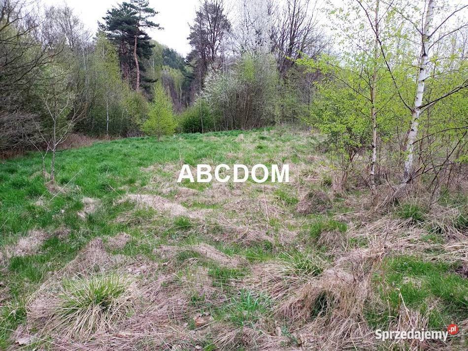 Raciborsko 39 ara łąki Tereny Z las Tereny ZL Sprzedaż sprzedam