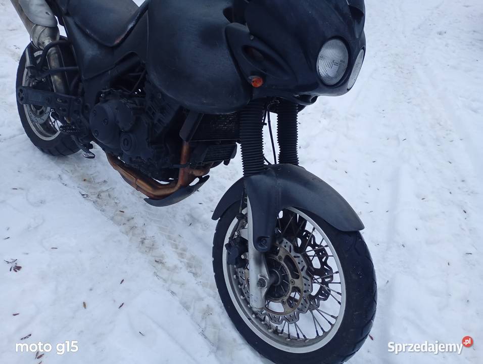 Triumph Tiger 955i 855i Mrozy
