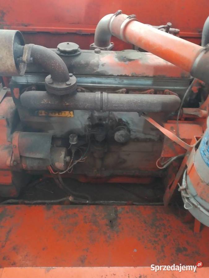 Bizon Z056 Stryjewo Wielkie