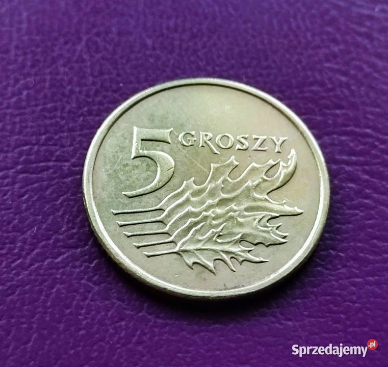 Moneta 5 groszy 20 6 r Destrukt menniczy Pruszków