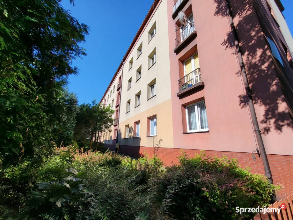 Syndyk sprzeda udział 13 w nieruchomości 43m2