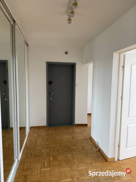 Panorama Kielc widok na park Kielce