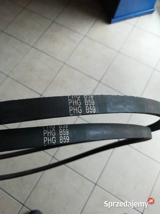 PAS KLINOWY SKF B59 Kazanów