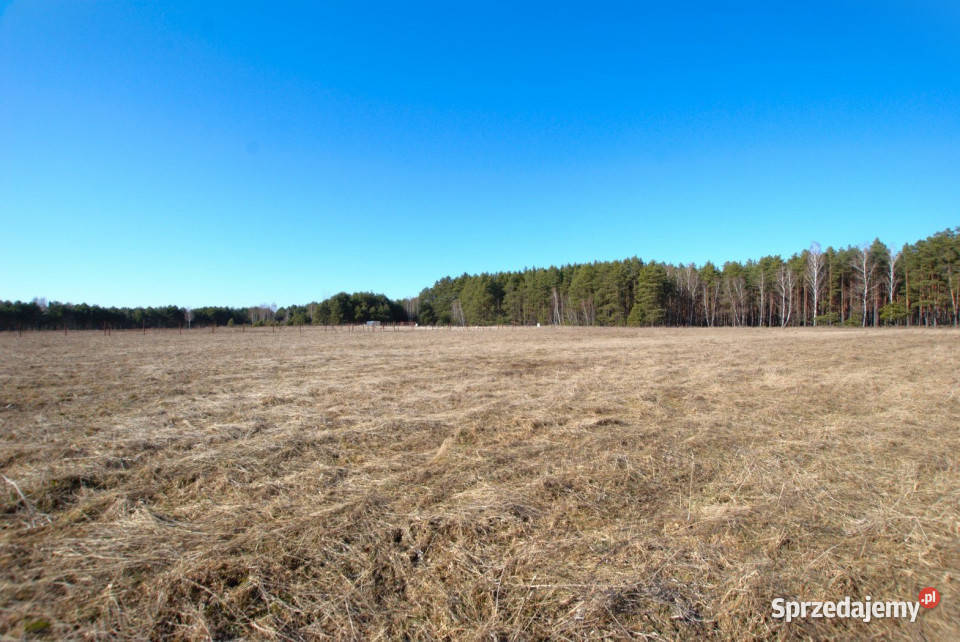 Grunt do sprzedania Smyków 1200 metrów