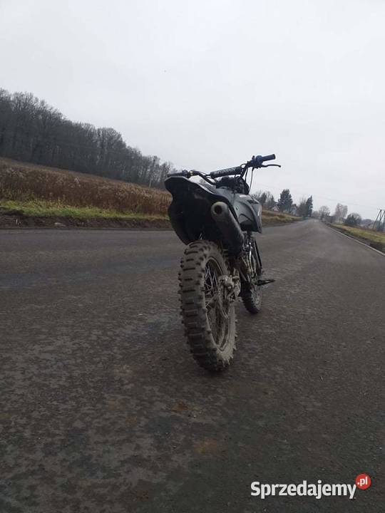 Diabolini 250 Rok produkcji 2015