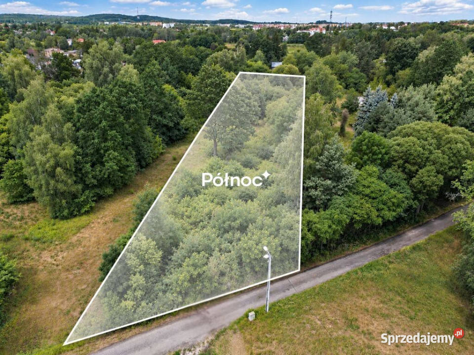 zamieszkaj natury 5 min centrum miasta