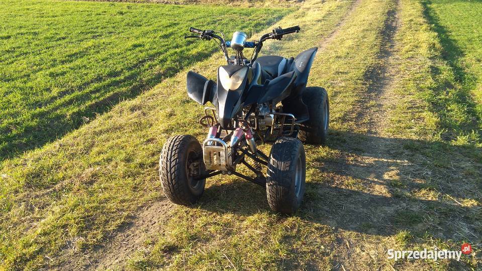 Quad 250 Bashan Zongshen Kingway Staroźreby