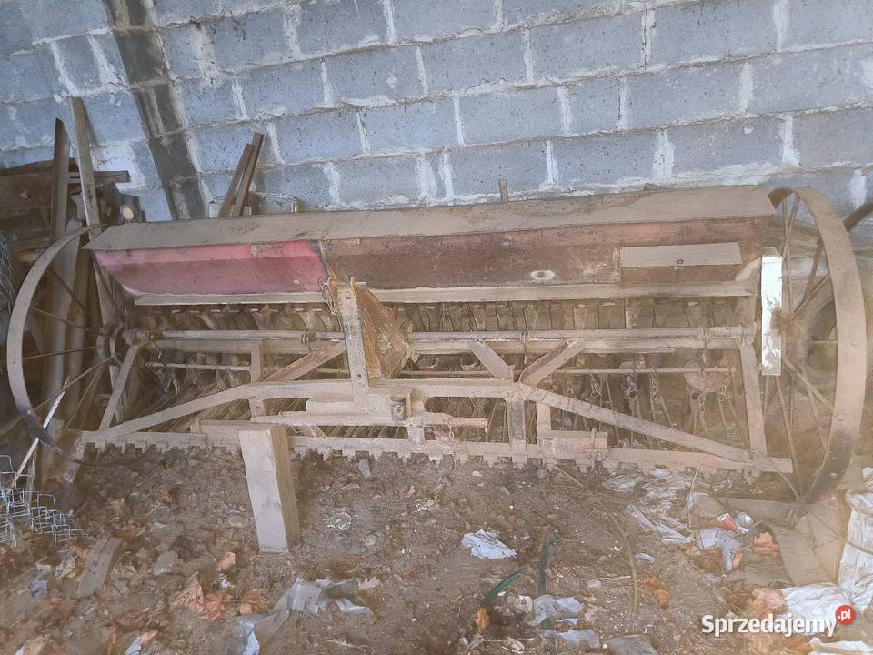 Siewnik konny mazowieckie