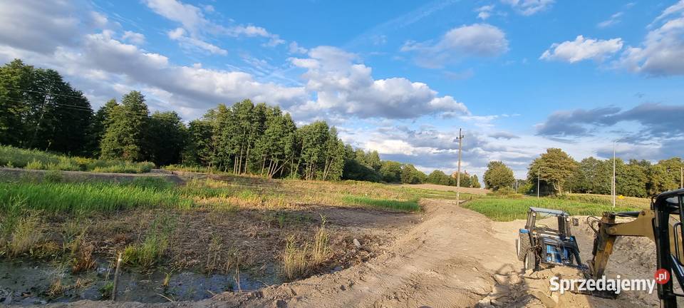 Usługi koparka wywrotką laweta mala Mełgiew
