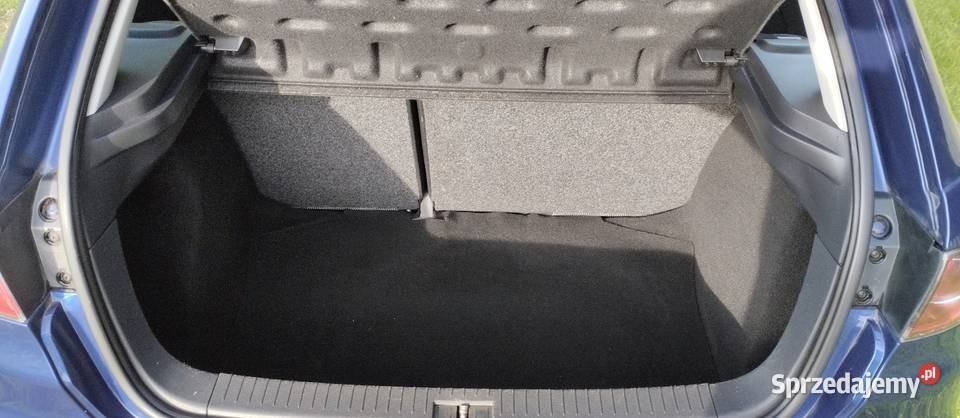 Seat Ibiza 14 16v 75 2/3 Ibiza mazowieckie Dziarnowo