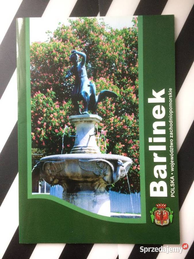 3595 Barlinek Szczecin