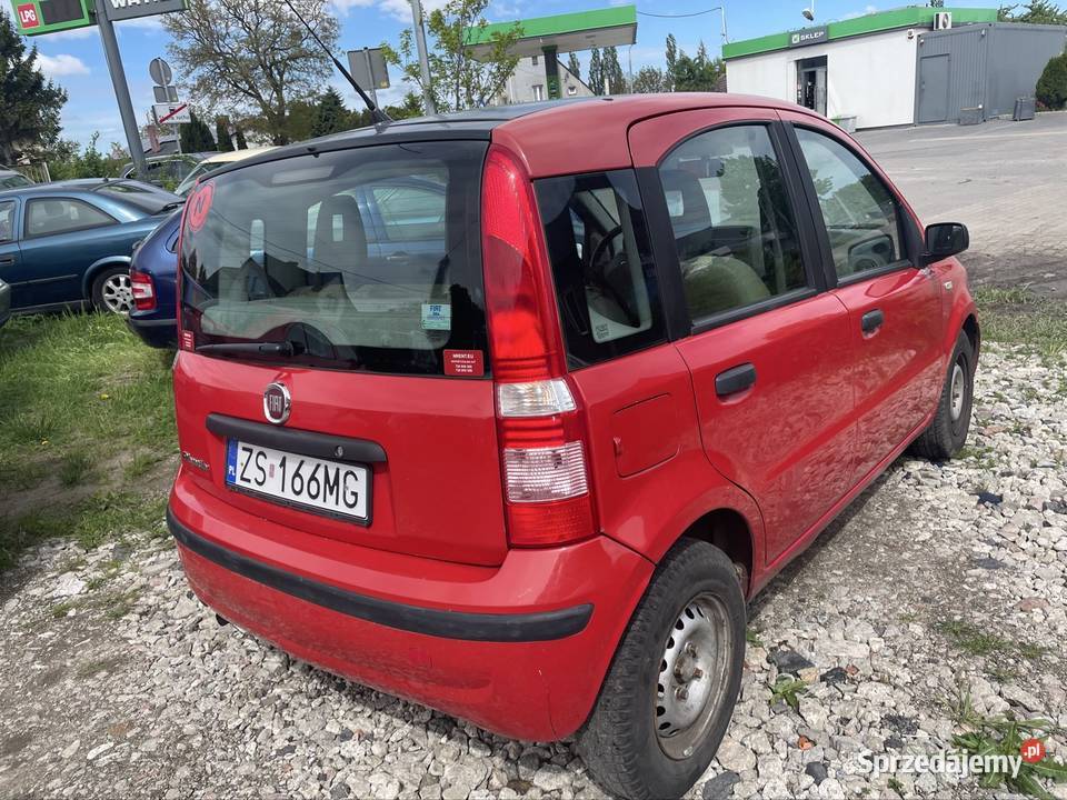 Wynajem Wypożyczalnia aut Fiat panda Wynajem pojazdów Szczecin