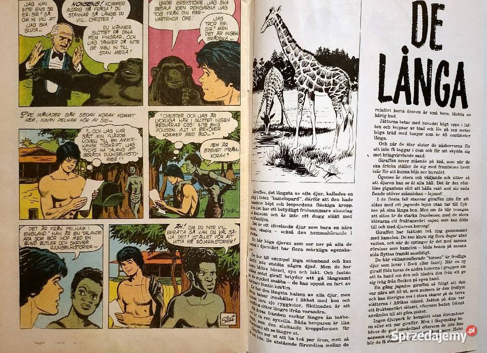 Stary komiks 1977 Korak syn Tarzana Edycja Rok wydania 1977 Kościan