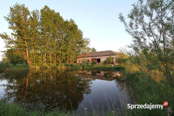 SIEDLISKO STAW budynek 1000zł/m2 Wyrzyki sprzedam