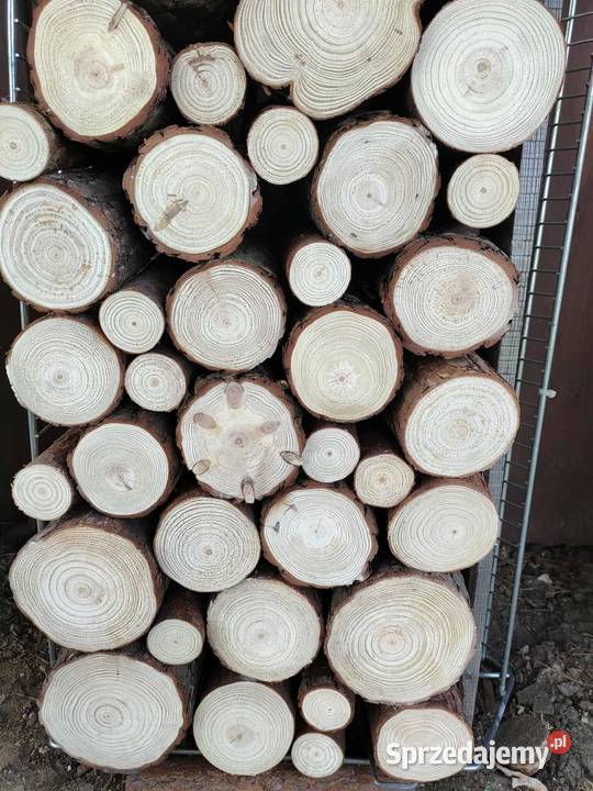 Wnęka kominka drewno pieńki sosna natura Pozostałe Kulno