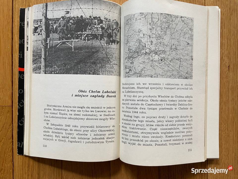 Jacek Wilczur Armira nie wróci do Italii sprzedam