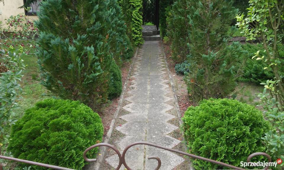 Sprzedam działkę ROD 115 Pozostałe Poznań