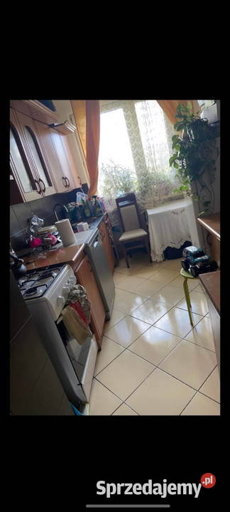 3pokojowe mieszkanie 61 m z balkonem i 2 61m2 Sprzedaż Ciechanów