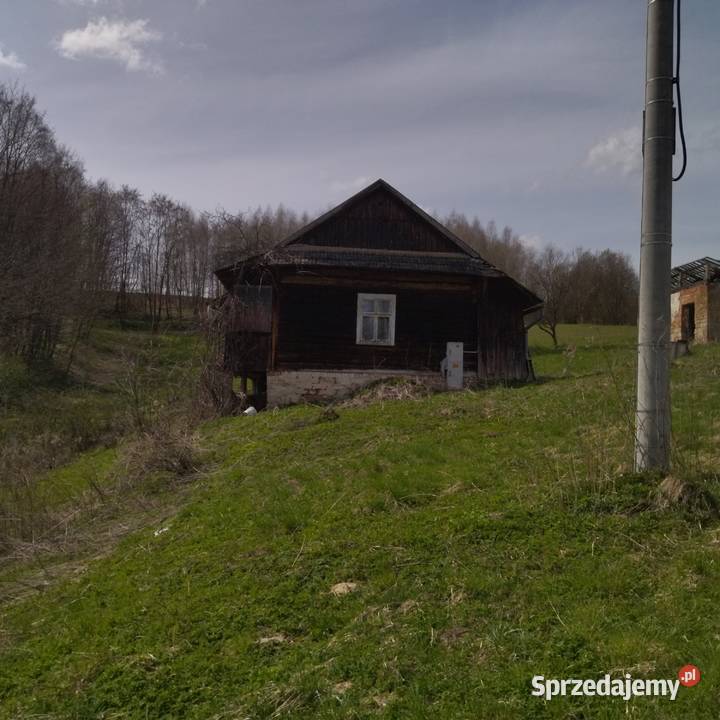 dom drewniany Sprzedaż Binarowa sprzedam