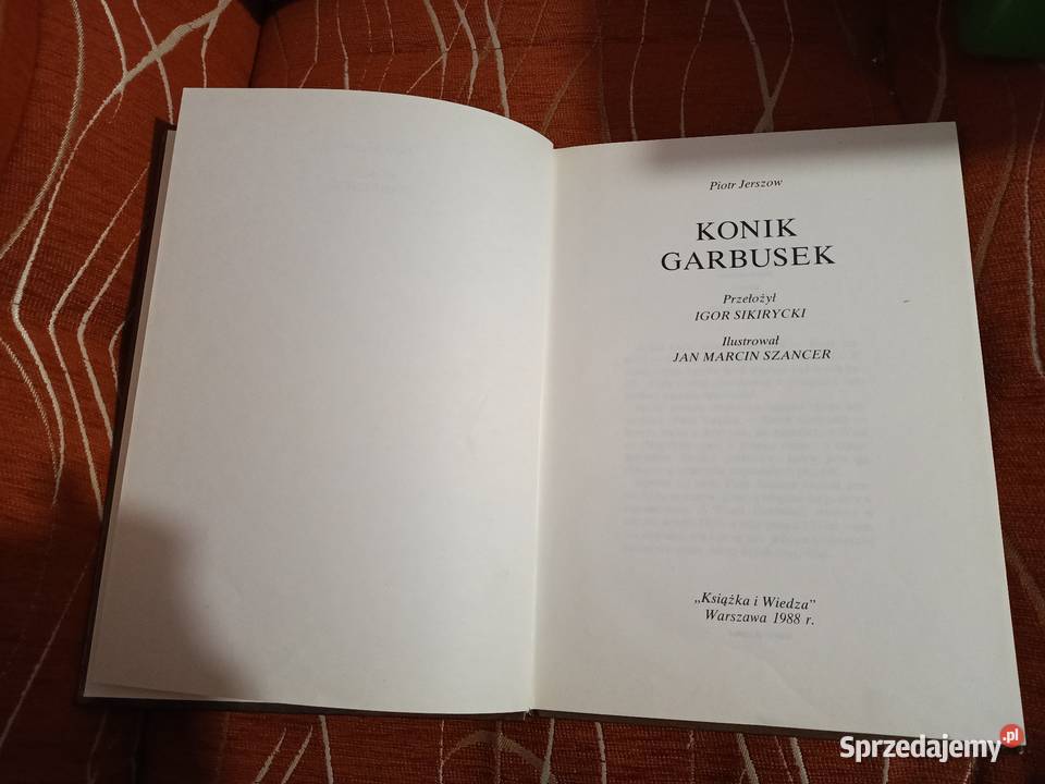 Konik Garbusek Piotr Jerszow Poznań