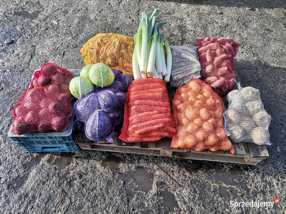 SPRZEDAM WARZYWA WSZYSTKIE WARZYWA POSIADAM Proszowice