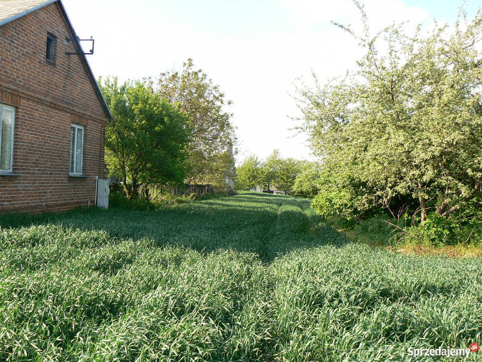GOSPODARSTWO ROLNE Pozostałe lubelskie Zubowice sprzedam