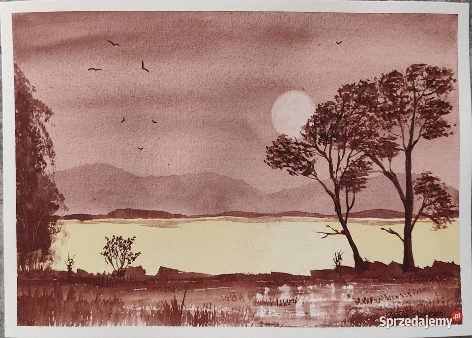 Akwarela Akwarelka Obraz pt Cisza którą przerywa Malarstwo Lublin