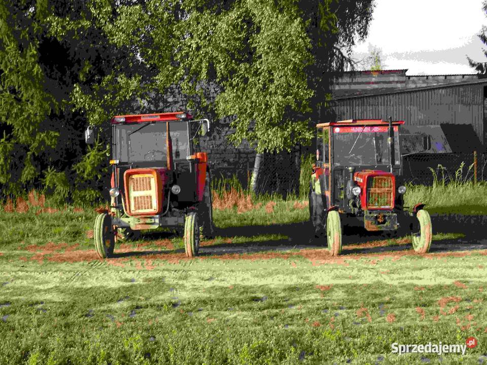 Ciąhnik Rolniczy Ursus C 360 3P Naglak Możliwość Ursus Kurów