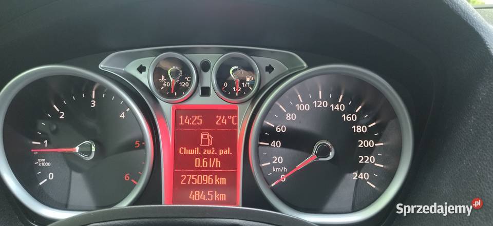 Ford Kuga nieuszkodzony