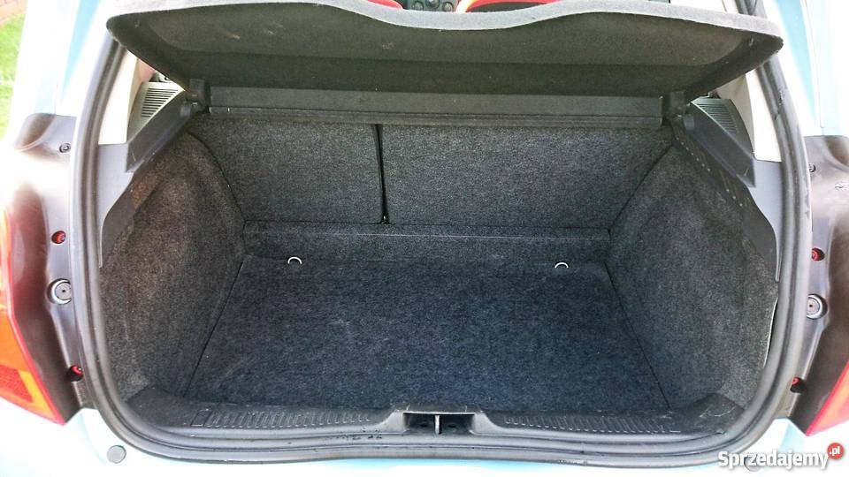 Renault Clio Rip Curl 2008 elektryczne lusterka Marki