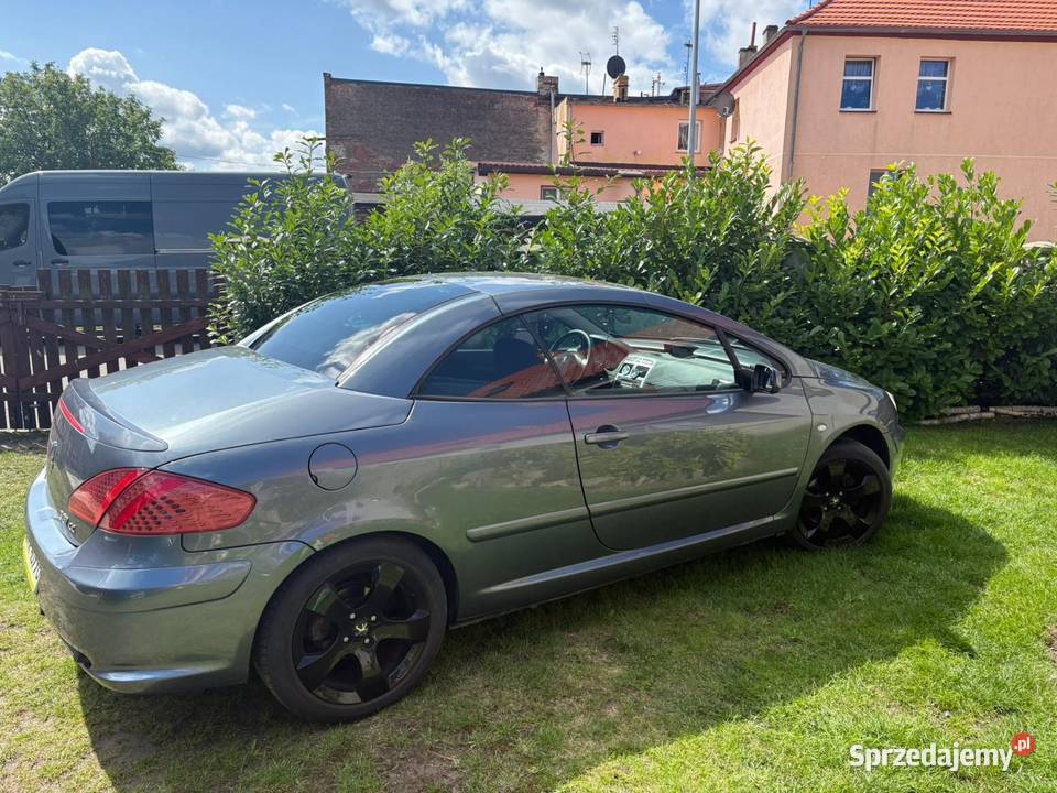 Peugeot 307 CC 307 CC Wolin