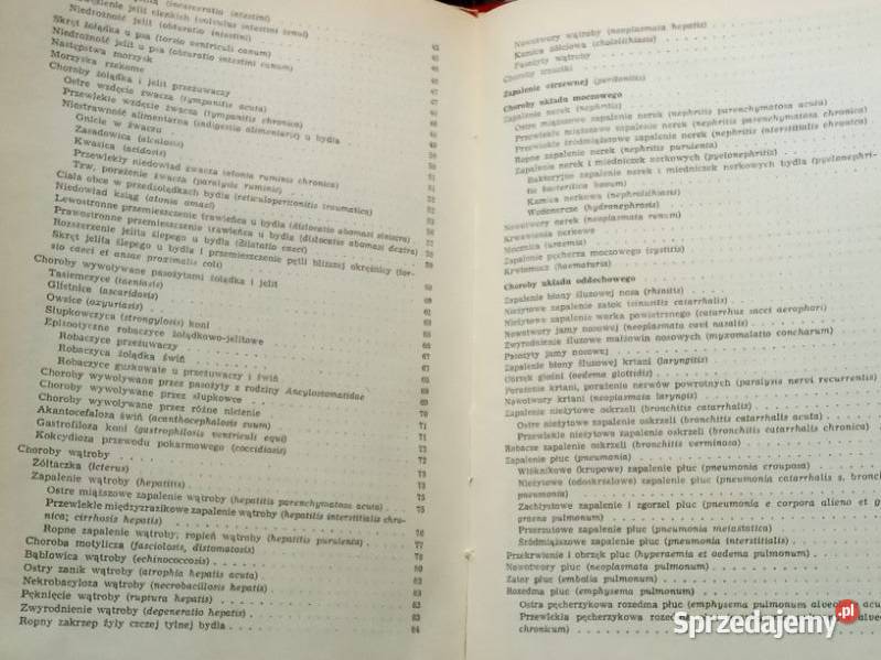 Ullich Zarys Szczegółowej Patologii i Terapii
