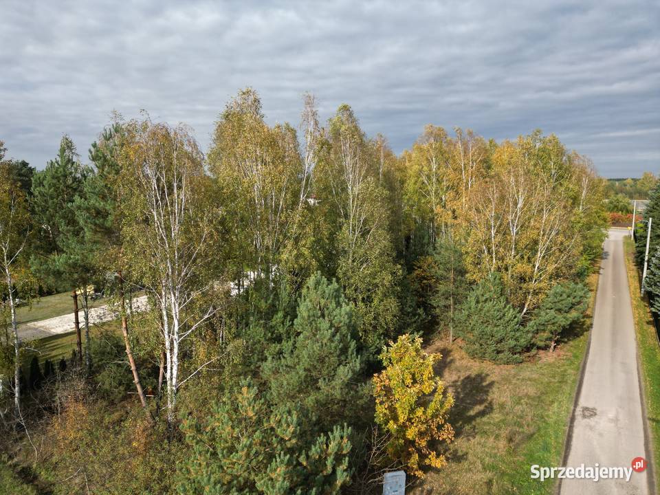 Urokliwa działka budowlana 1331 m Mrozy gm Nieruchomości