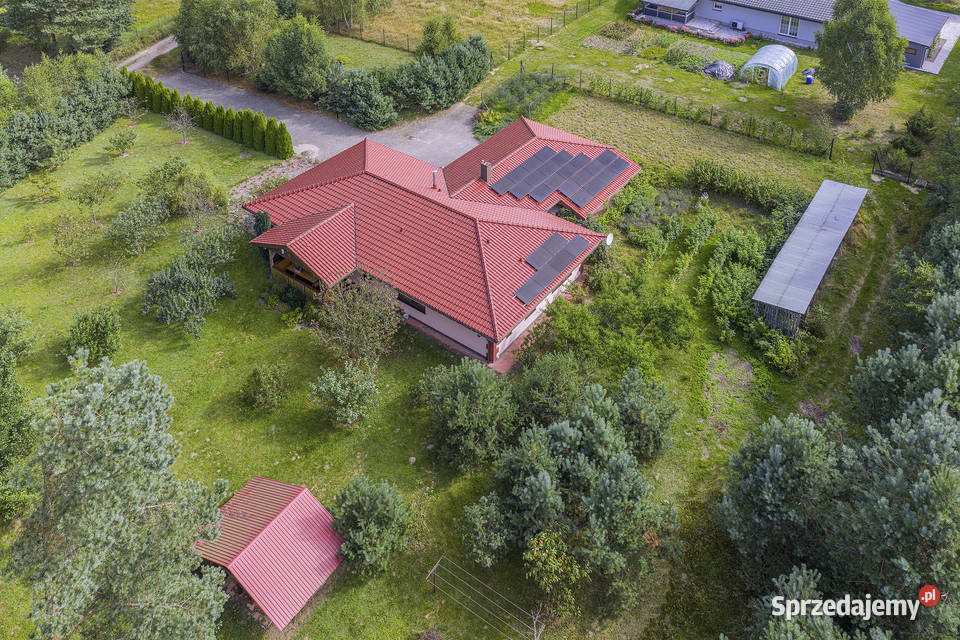 Dom na działce 7500m2 w Dąbrówce k Wejherowa Dąbrówka sprzedam