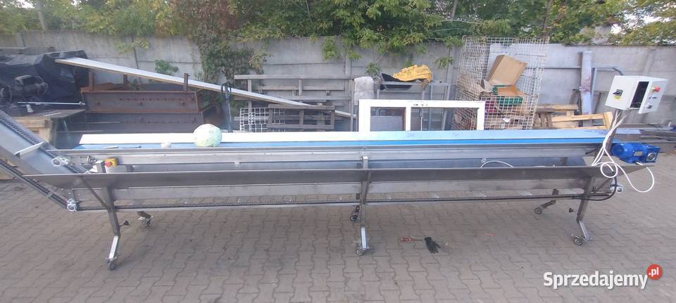 Taśmociąg do kapusty z przenośnikiem do odbioru sprzedam