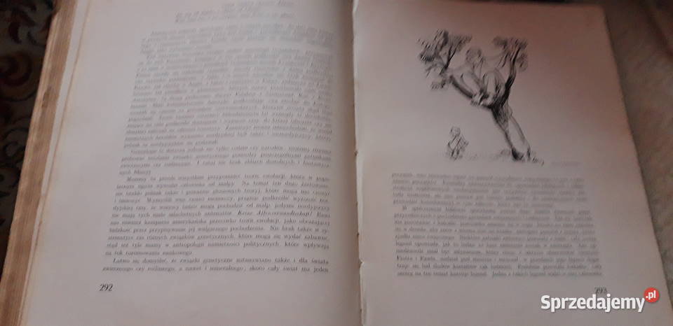 K O M I Z M JAN ST BYSTROŃ Lwów 1939 wyd1 Iwno sprzedam