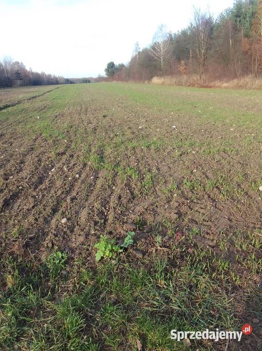 Działka uprawna Giełzów