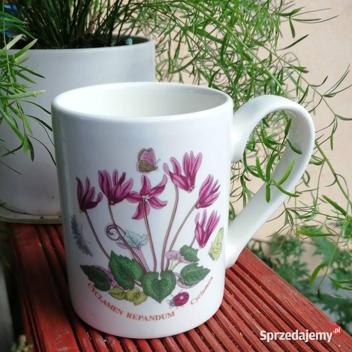 Portmeirion Botanic Garden Szczytno