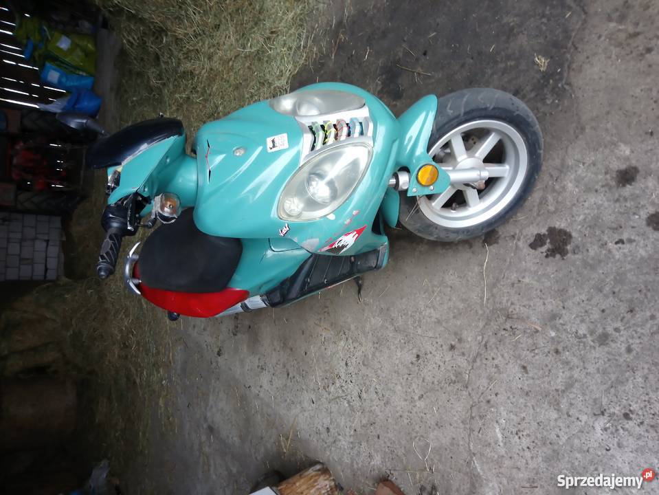 Longjia Alien 50 Jeleniec