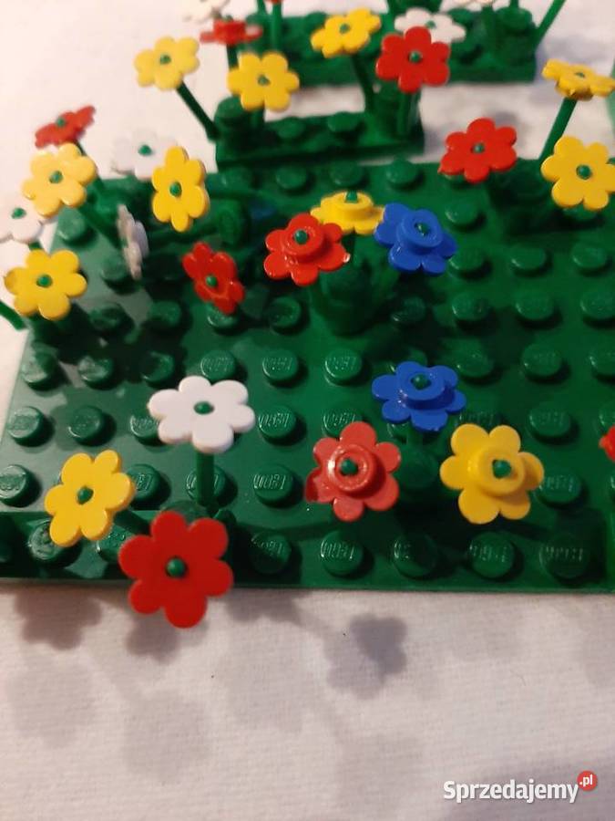 Lego kwiatki 19 Stronie Śląskie