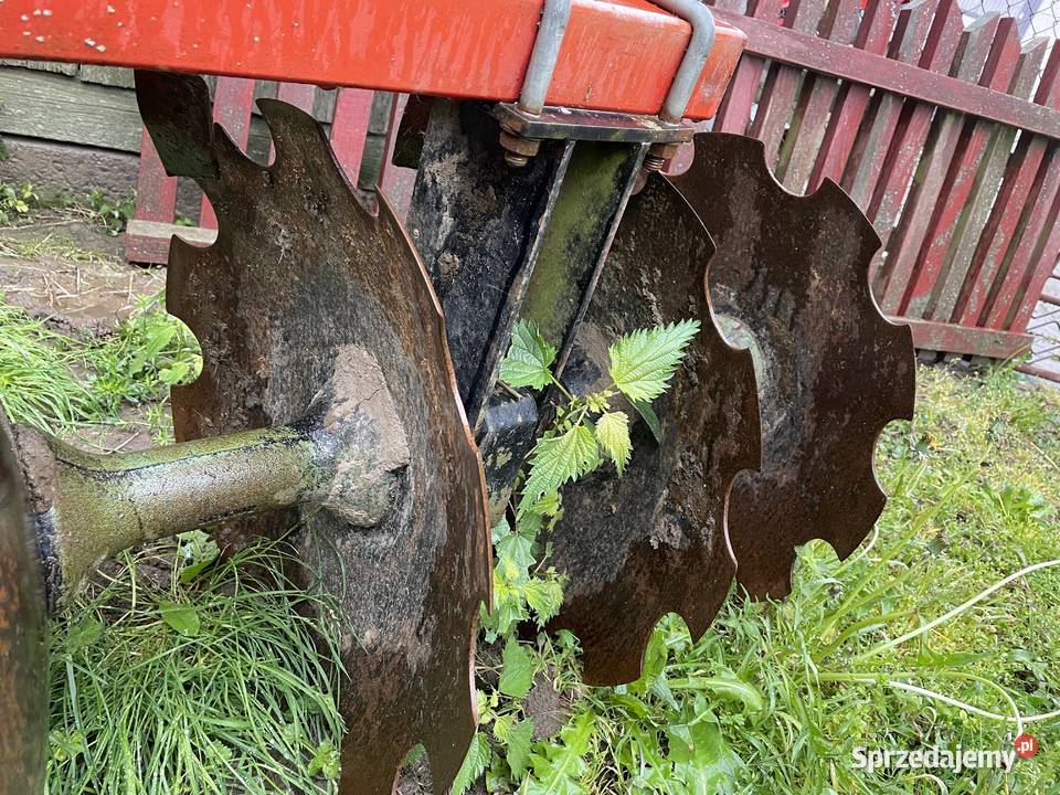 Talerzówka Pozostałe