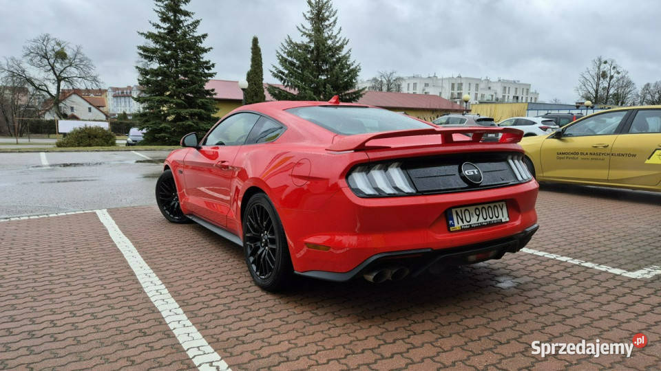 Ford Mustang Ford Mustang GT Stan Idealny Cesja warmińsko-mazurskie Giżycko sprzedam