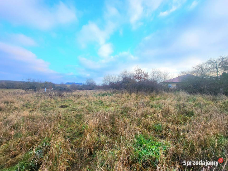 Działka Dołuje sprzedam