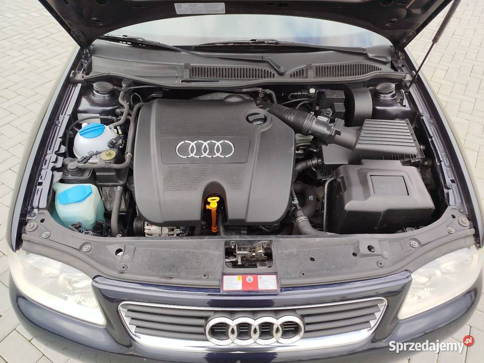 A3 8L 16 Benzyna 2002 wersja 5 DRZWI ESP