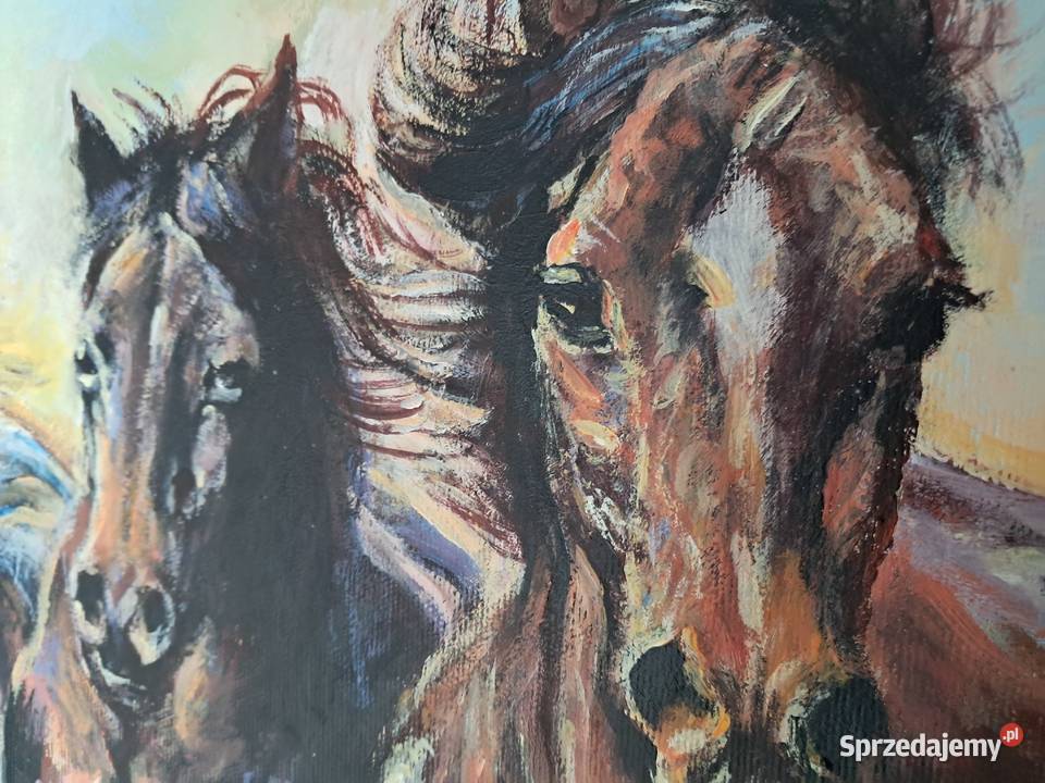 konie obraz olejny na płótnie 90x60 Sandomierz