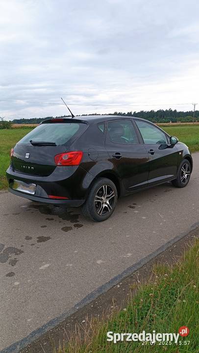 Seat Ibiza IV Pierwszy właściciel w kraju do 4/5 Żuków