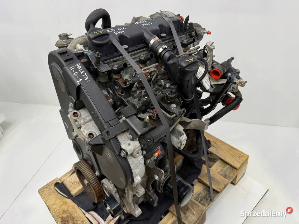 SILNIK RHY Peugeot 307 406 Partner Citroen C5 Chełm