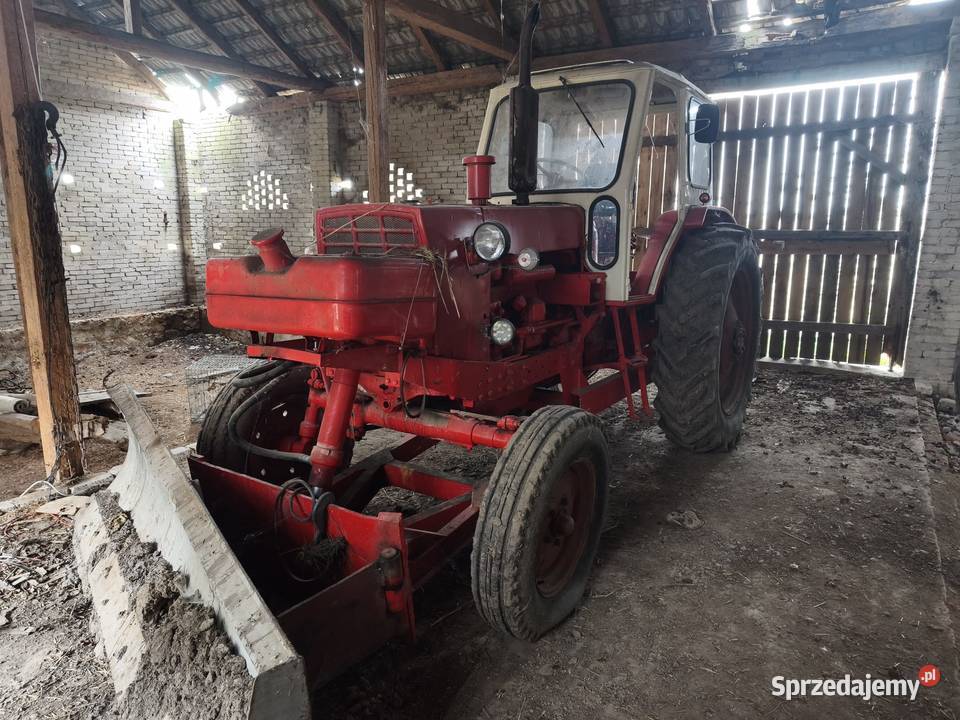 Ciągnik rolniczy Białoruś Jumz 6 D65 Bialoruska