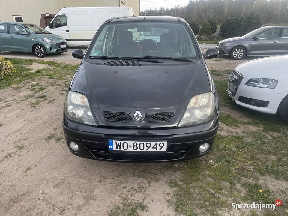 Renault Megane Scenic 18 Benzyna Klima Alu Hak