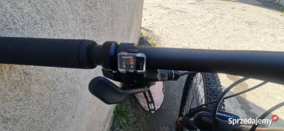 Rower Fuji